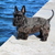 Image-square_50