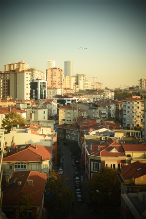 Image-preview_300x200