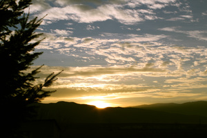 Image-preview_300x200