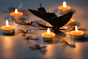 Image-preview_300x200