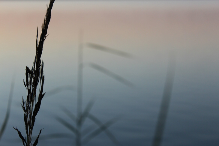 Image-normal