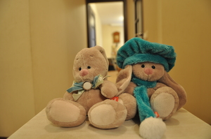 Image-preview_300x200