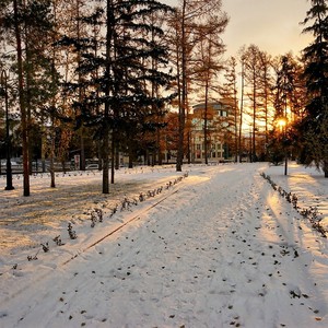 Image-preview_300x200