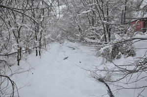 Image-preview_300x200