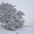 Image-square_50