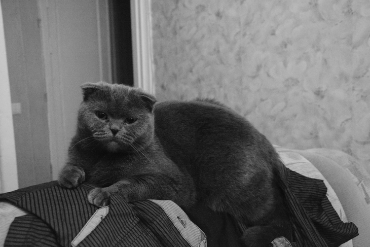 Image-normal