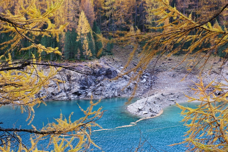 Image-normal