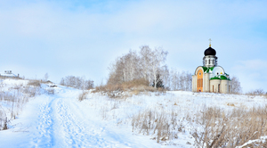 Image-preview_300x200