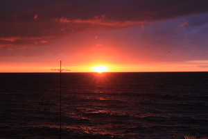 Image-preview_300x200