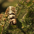 Image-square_50