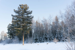 Image-preview_300x200