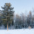 Image-square_50