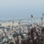 Image-square_50