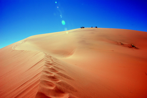 Image-preview_300x200