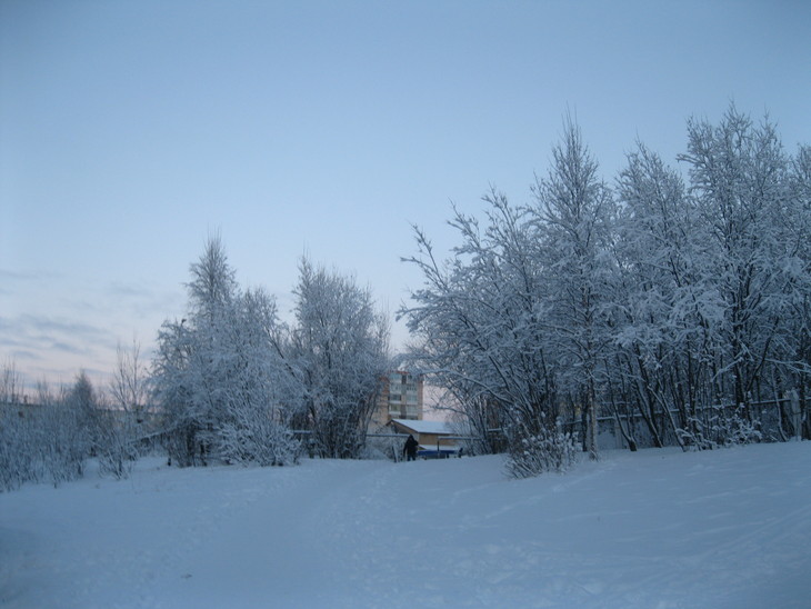 Image-normal