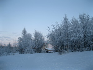 Image-preview_300x200