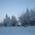 Image-square_50