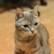 Image-square_50