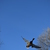 Image-square_50