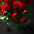 Image-square_50