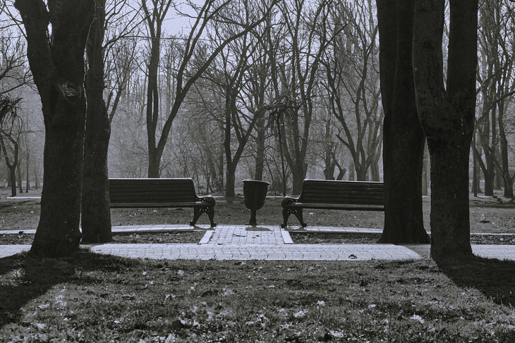 Image-normal