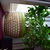 Image-square_50