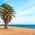 Image-square_50
