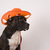 Image-square_50