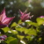 Image-square_50