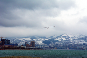 Image-preview_300x200