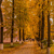 Image-square_50