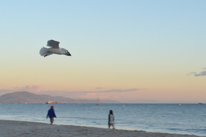 Image-preview_300x200