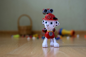 Image-preview_300x200