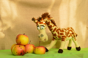 Image-preview_300x200