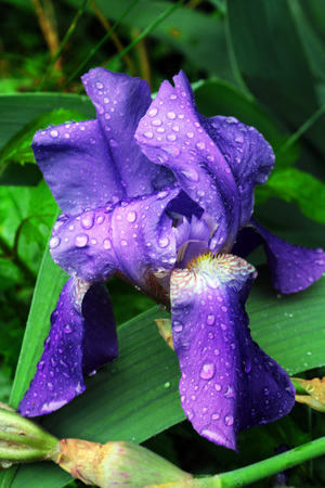 Image-preview_300x200