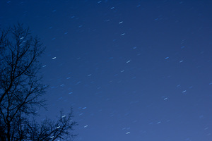 Image-preview_300x200