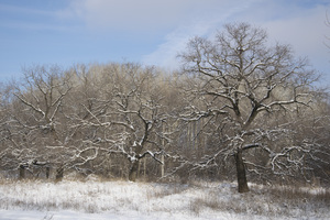 Image-preview_300x200