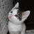 Image-square_50