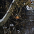 Image-square_50