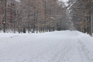 Image-preview_300x200