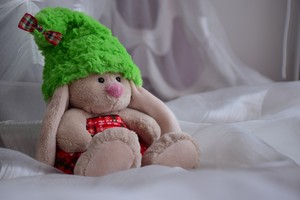 Image-preview_300x200