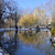 Image-square_50