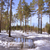Image-square_50
