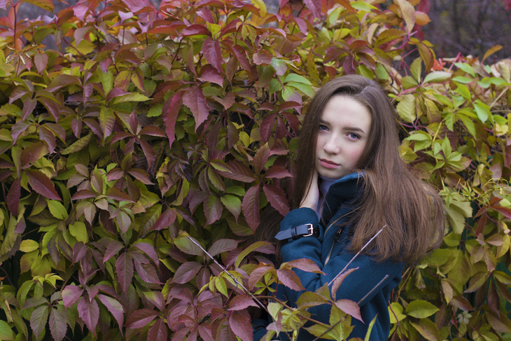 Image-normal