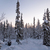 Image-square_50