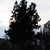 Image-square_50