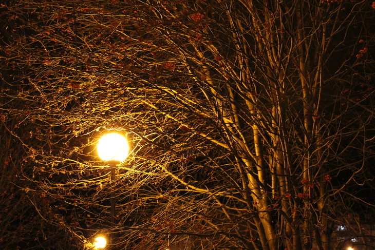 Image-normal