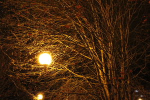 Image-preview_300x200