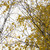 Image-square_50