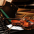 Image-square_50